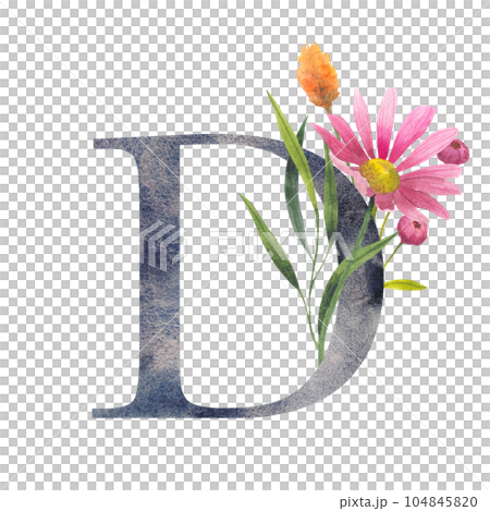Letter D with watercolor wildflowers. Floral alphabet, set isolated letters with botanical bouquet. monogram initials perfectly for wedding invitation, birthday, greeting card and other design. 104845820