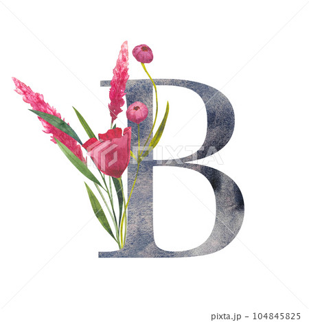 Letter B with watercolor wildflowers. Floral alphabet, set isolated letters with botanical bouquet. monogram initials perfectly for wedding invitation, birthday, greeting card and other design. 104845825
