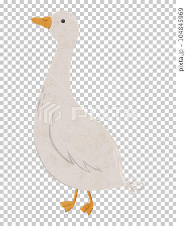 Cute goose. Digital hand drawn illustration with little farm animal bird for textile design, education, baby shower, children prints. Drawing of character in cartoon style on isolated background Cute goose. Digital hand drawn illustration with little farm animal bird for textile design, education, baby shower, children prints. Drawing of character in cartoon style on isolated background 104845969