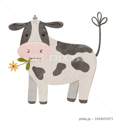 Cute cow with a yellow flower in her mouth. Digital hand drawn illustration with little farm animal for textile design, education, baby shower, children prints. Drawing of character in cartoon style Cute cow with a yellow flower in her mouth. Digital hand drawn illustration with little farm animal for textile design, education, baby shower, children prints. Drawing of character in cartoon style 104845971