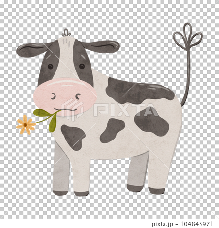 Cute cow with a yellow flower in her mouth. Digital hand drawn illustration with little farm animal for textile design, education, baby shower, children prints. Drawing of character in cartoon style 104845971