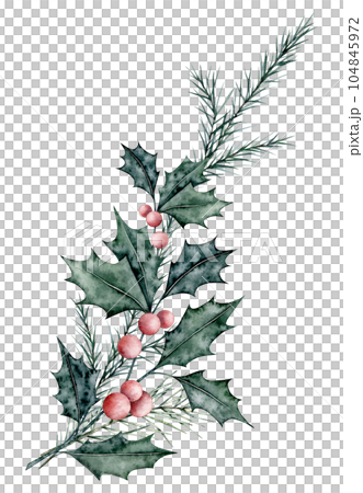 Christmas bouquet of ilex branches with red berries and spruce branch, evergreen tree, fir, cedar. Emerald holly leaves. Botanical Winterberry banner. Hand painted watercolor illustration for wedding 104845972