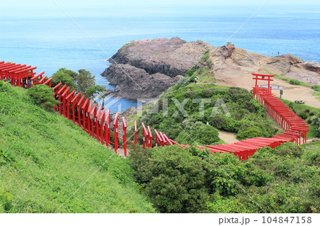 龍宮の潮吹(元乃隅神社) 龍宮の潮吹(元乃隅神社) 104847158
