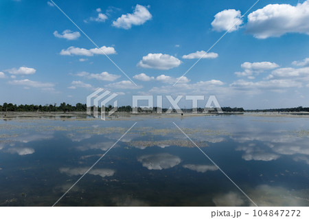 White fluffy clouds are reflected from the calm surface of the Cambodian pond on a sunny day, landscape. 104847272