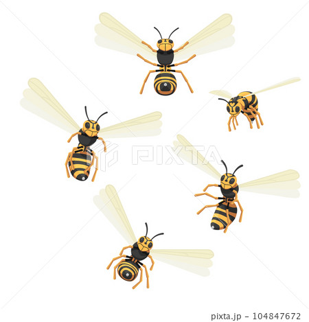 Set of attacking wasps. 104847672