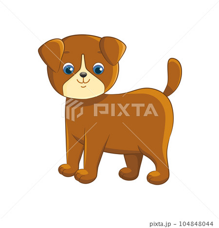 Cute little brown puppy on a white background. 104848044