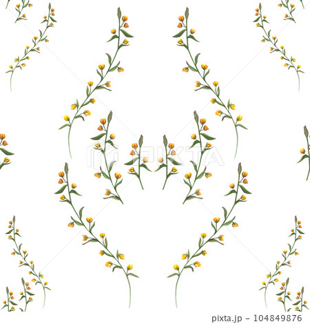 Graceful seamless ornament with yellow meadow flowers. Watercolor floral pattern . Abstract ornate isolated on white background. Print for fabric, textile, scrapbooking, wrapping, fashion. Graceful seamless ornament with yellow meadow flowers. Watercolor floral pattern . Abstract ornate isolated on white background. Print for fabric, textile, scrapbooking, wrapping, fashion. 104849876