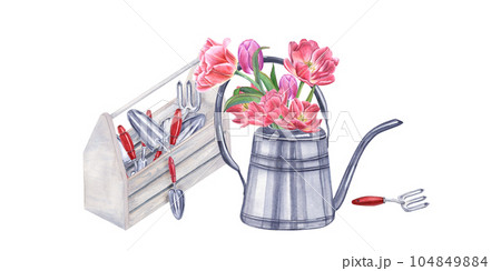 Watercolor garden tools in wooden box. Bouquet of pink double tulips in steel watering can. Illustration isolated on white background. Hand trowels, fork, crate, flowers for gardening and flowering 104849884