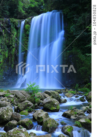 夏の桜滝（日田市・縦構図） 104850828