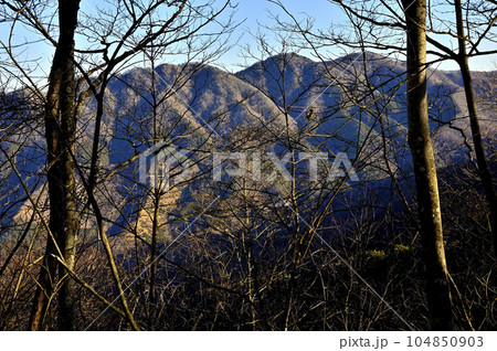 道志山塊のマエダレノ頭より今倉山を望む 道志山塊のマエダレノ頭より今倉山を望む 104850903