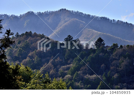 道志山塊の御正体山 峰宮跡を望む 道志山塊の御正体山 峰宮跡を望む 104850935
