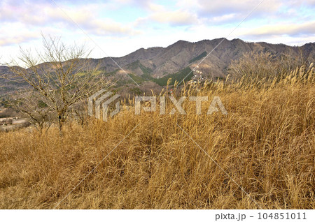 丹沢の高指山山頂より石割山方面を望む 104851011