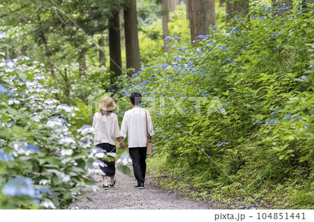 みちのくあじさい園の紫陽花と男女の後ろ姿　岩手県一関市 104851441