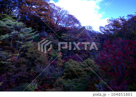 秋の九重　渓谷の紅葉 104851801