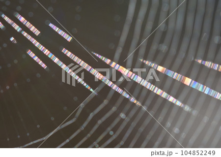 虹色に輝くクモの糸の幻想的な世界(白色のクモの糸を背景に横切る縞模様のカラフルな光の流れ) 虹色に輝くクモの糸の幻想的な世界(白色のクモの糸を背景に横切る縞模様のカラフルな光の流れ) 104852249