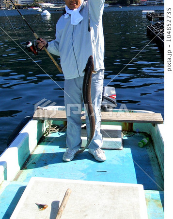 ボート釣りでクロアナゴが釣れた 104852735