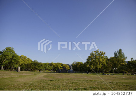 芝生の公園 芝生の公園 104852737