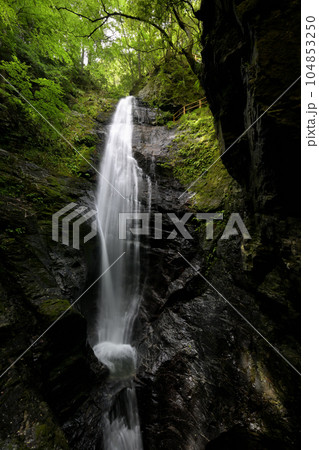 蜻蛉の滝(奈良県吉野郡川上村) 蜻蛉の滝(奈良県吉野郡川上村) 104853250