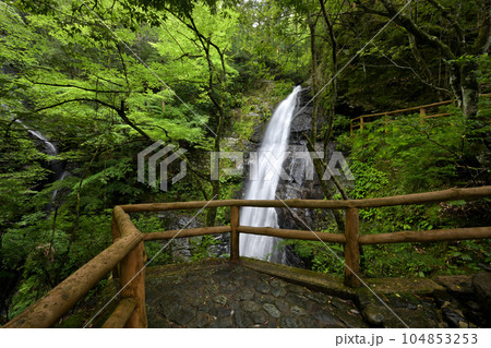 蜻蛉の滝（奈良県吉野郡川上村） 104853253