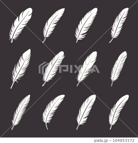 Vector Fluffy Feather Logo, Icon Set, Silhouette Feather Closeup Isolated. Design Template of Flamingo, Angel, Bird Feather. Lightness, Freedom Concept 104853572