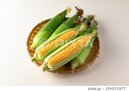 とうもろこし（ドルチェドリーム） 104853977