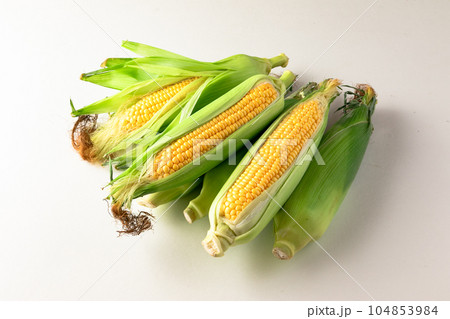 とうもろこし（ドルチェドリーム） 104853984