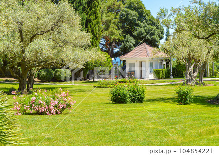 Picturesque view of the Mediterranean landscape with a beautiful lawn, a small farmhouse and olive and cypress trees, sunny summer day 104854221