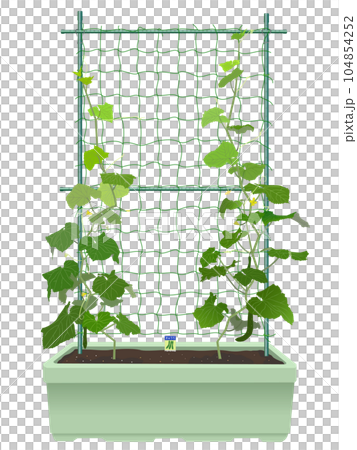 種植黃瓜幼苗的播種機 104854252