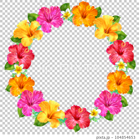 ハイビスカスとプルメリアのリース　円形フレーム 104854653