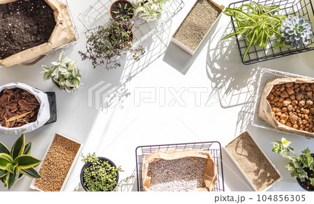 Exotic trendy houseplant potted plant garden tools soil ground top view isolated on white copyspace 104856305