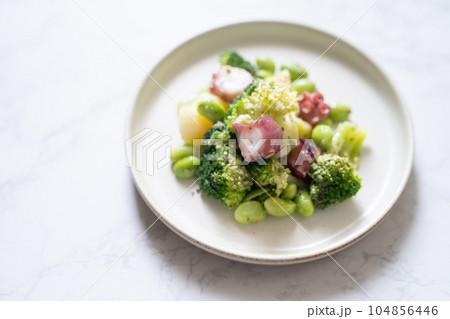 タコとブロッコリーのバジルサラダ 104856446
