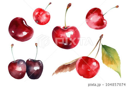 set vector illustration watercolor of ripe red cherry isolated on white background set vector illustration watercolor of ripe red cherry isolated on white background 104857074