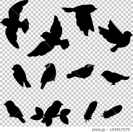小鳥剪影插圖集 104857079