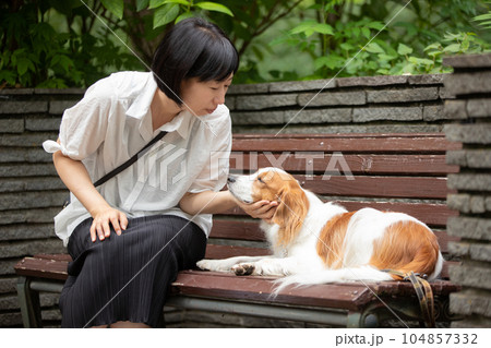 公園のベンチで休憩する女性と中型犬 公園のベンチで休憩する女性と中型犬 104857332