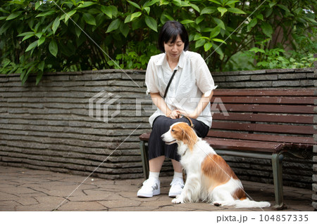 公園のベンチで休憩する女性と中型犬 公園のベンチで休憩する女性と中型犬 104857335