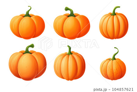 set vector illustration of autumn pumpkin harvest isolated on white background set vector illustration of autumn pumpkin harvest isolated on white background 104857621