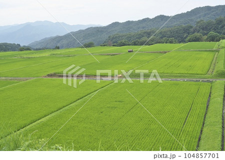 御机みつめの棚田 104857701