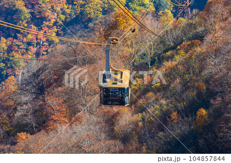 新潟湯沢町 紅葉の田代ロープウェー 新潟湯沢町 紅葉の田代ロープウェー 104857844