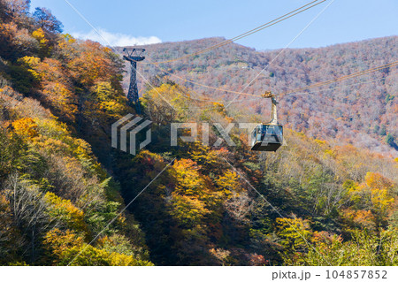 新潟湯沢町　紅葉の田代ロープウェー 104857852
