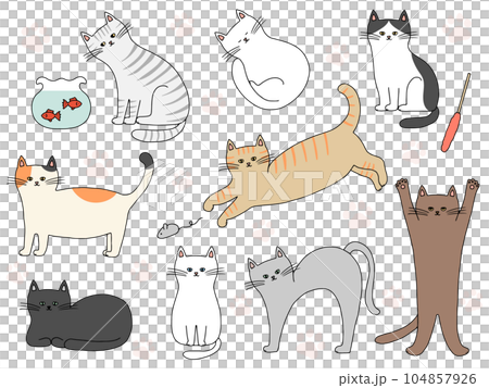 各種姿勢的貓手繪插圖 各種姿勢的貓手繪插圖 104857926