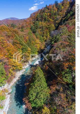 新潟湯沢町　苗場ドラゴンドラから見る絶景の紅葉と清津川 104858267