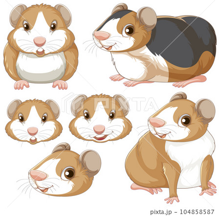 Set of hamster rodents cartoon character Set of hamster rodents cartoon character 104858587