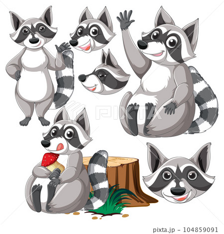 Set of raccoon cartoon character with head and - Stock