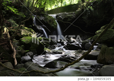 オンタの滝 静岡県賀茂郡河津町 オンタの滝 静岡県賀茂郡河津町 104859105