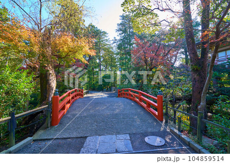 秋の鎌倉市鶴岡八幡宮の柳原神池に架かる赤い橋を鶴亀石に向かって 104859514