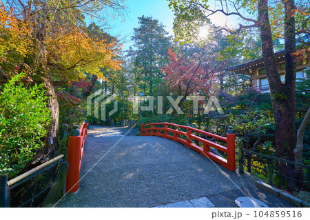 秋の鎌倉市鶴岡八幡宮の柳原神池に架かる赤い橋を鶴亀石に向かって 104859516