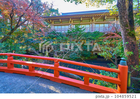 秋の鎌倉市鶴岡八幡宮の柳原神池に架かる赤い橋から柳原休憩所(カフェ)に向かって 秋の鎌倉市鶴岡八幡宮の柳原神池に架かる赤い橋から柳原休憩所(カフェ)に向かって 104859521