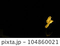 isolated golden dragon ring on black background 104860021