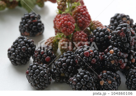 ブラックベリー 104860106