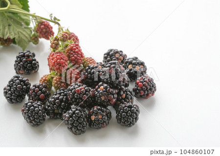 ブラックベリー 104860107